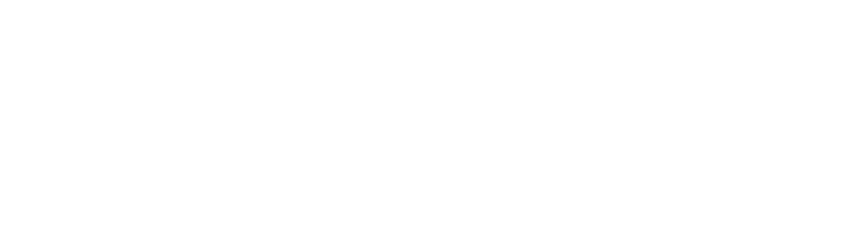 nic-structure