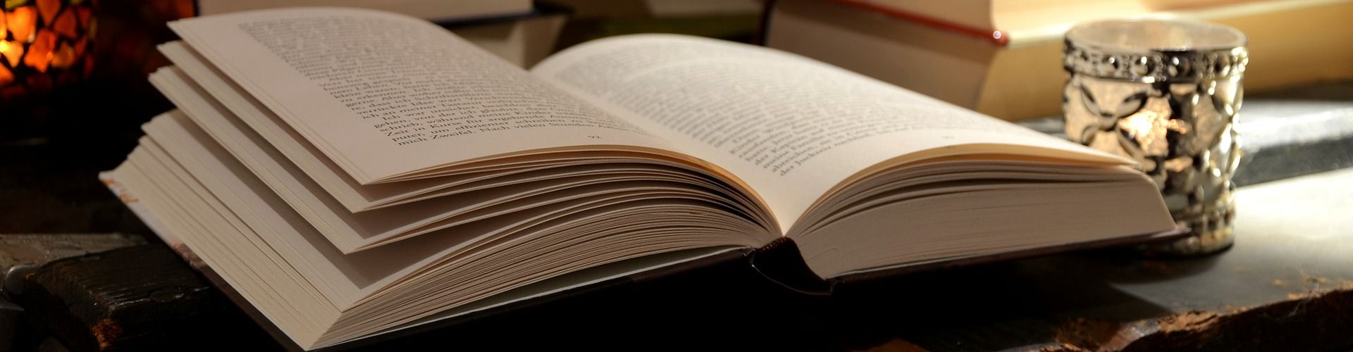 literatyrovedenie