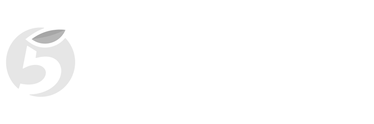 logo-5