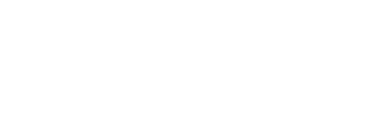 logo-vneshekonombank