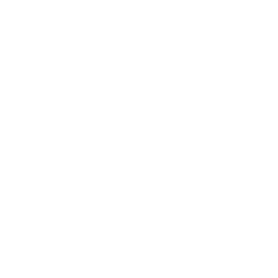 programmer